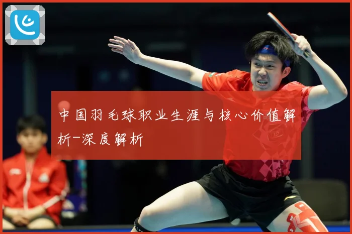 中国羽毛球职业生涯与核心价值解析-深度解析