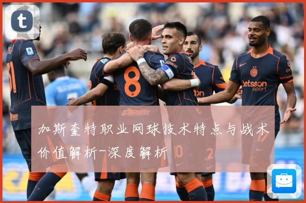 加斯奎特职业网球技术特点与战术价值解析-深度解析