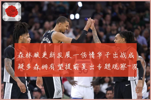 森林狼更新发展一伤情华子出战成疑多森姆有望提前复出专题观察-深度解析