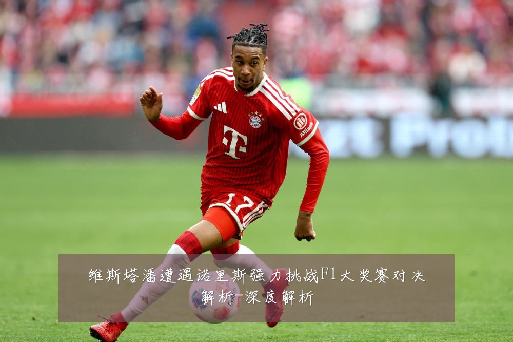 维斯塔潘遭遇诺里斯强力挑战F1大奖赛对决解析-深度解析