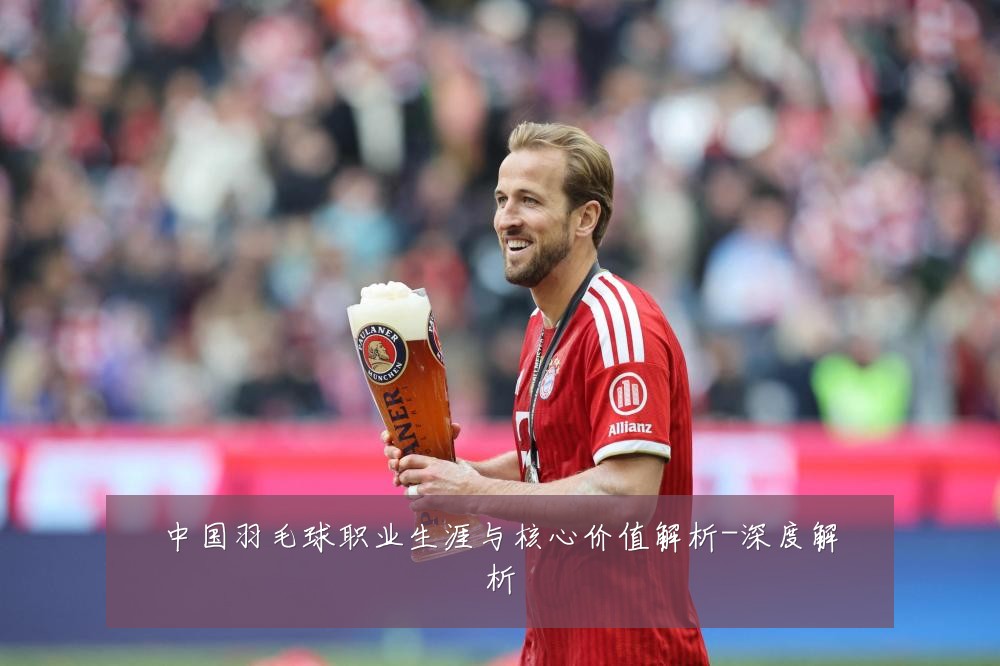 中国羽毛球职业生涯与核心价值解析-深度解析