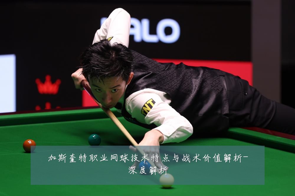 加斯奎特职业网球技术特点与战术价值解析-深度解析
